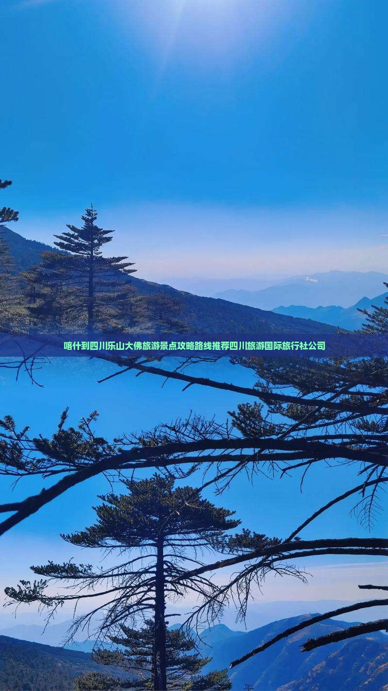 喀什到四川乐山大佛旅游景点攻略路线推荐四川旅游国际旅行社公司