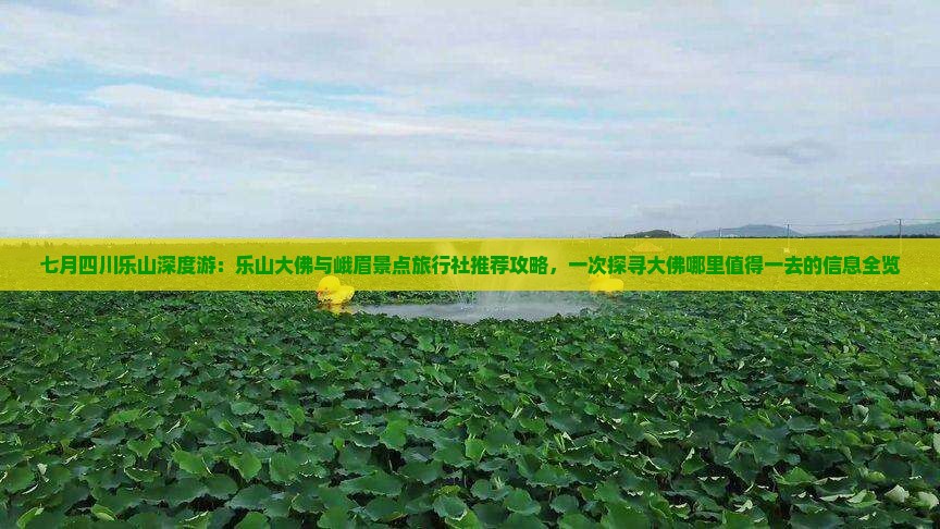 七月四川乐山深度游：乐山大佛与峨眉景点旅行社推荐攻略，一次探寻大佛哪里值得一去的信息全览