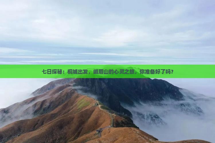 七日探秘：桐城出发，峨眉山的心灵之旅，你准备好了吗？