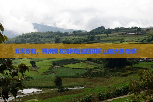 五天穿越，朔州朋友如何邂逅四川乐山的大佛奇缘？