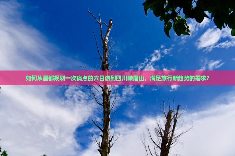 如何从昌都规划一次痛点的六日游到四川峨眉山，满足旅行新趋势的需求？