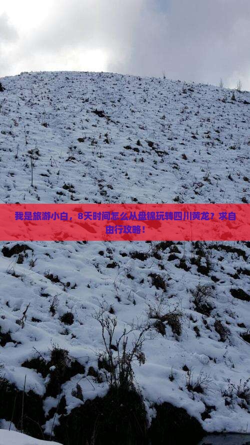 我是旅游小白，8天时间怎么从盘锦玩转四川黄龙？求自由行攻略！