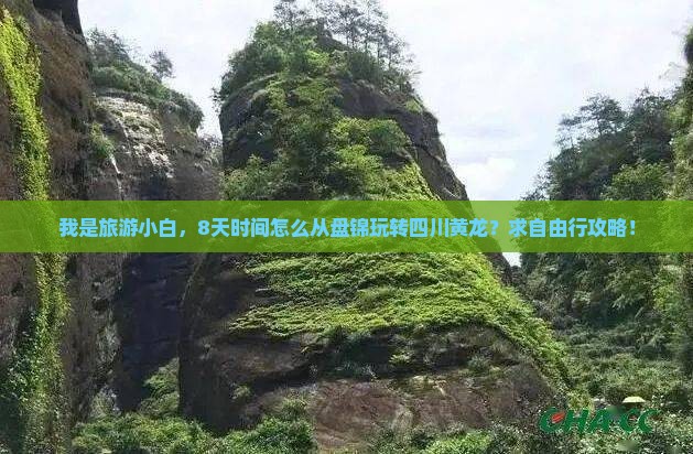 我是旅游小白，8天时间怎么从盘锦玩转四川黄龙？求自由行攻略！