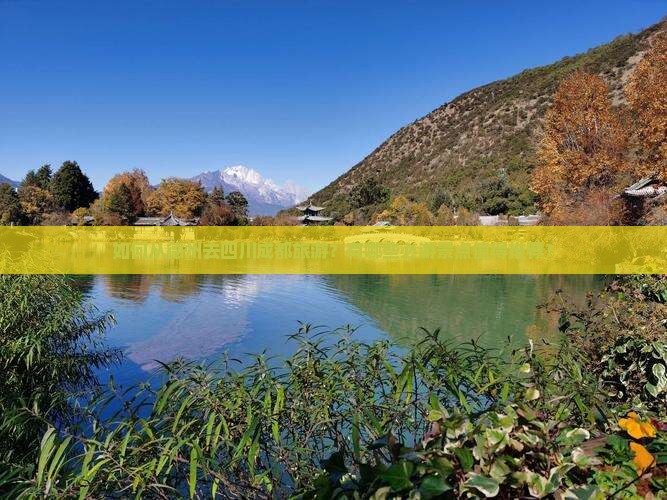 如何从德州去四川成都旅游？有哪些必游景点值得推荐？