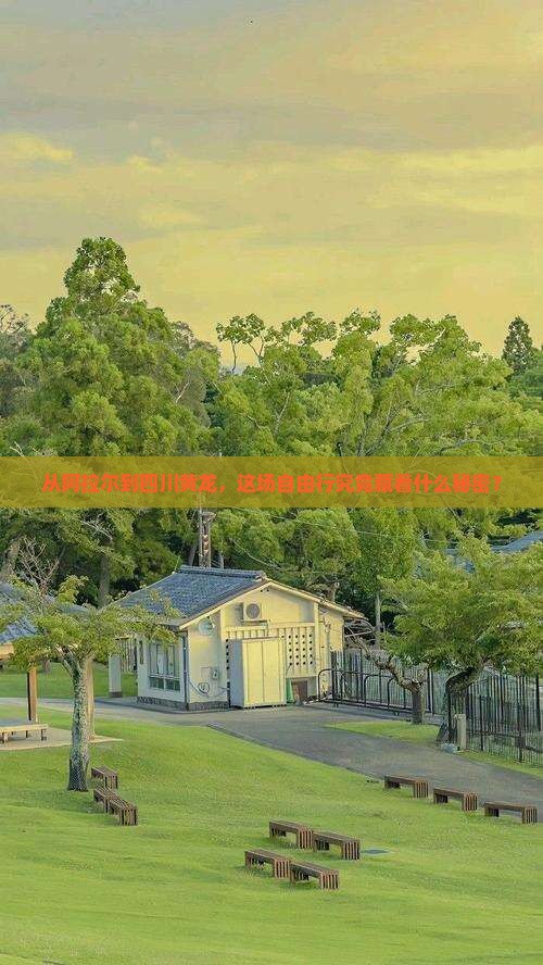 从阿拉尔到四川黄龙，这场自由行究竟藏着什么秘密？