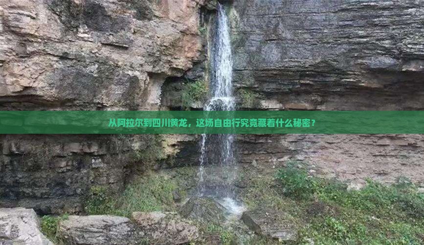从阿拉尔到四川黄龙，这场自由行究竟藏着什么秘密？