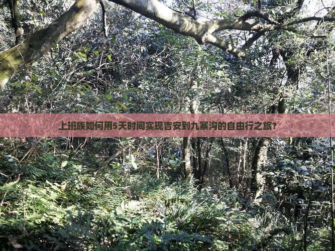 上班族如何用5天时间实现吉安到九寨沟的自由行之旅？
