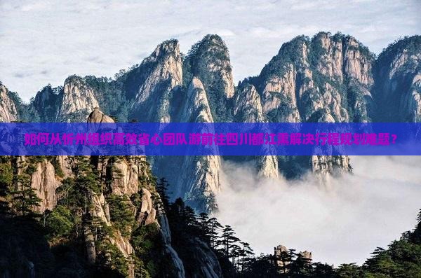 如何从忻州组织高效省心团队游前往四川都江熏解决行程规划难题？
