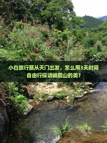 小白旅行蘸从天门出发，怎么用3天时间自由行探访峨眉山的美？