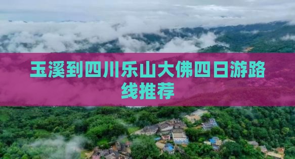 玉溪到四川乐山大佛四日游路线推荐