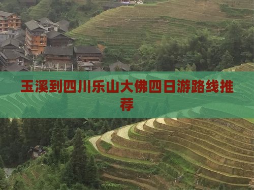 玉溪到四川乐山大佛四日游路线推荐