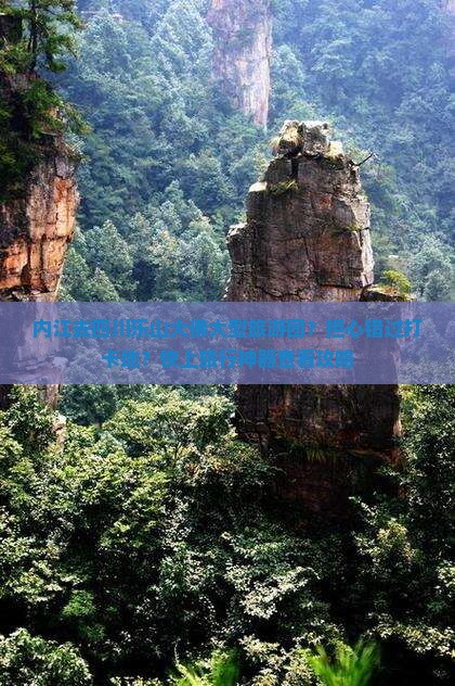 内江去四川乐山大佛大型旅游团？担心错过打卡地？快上旅行神器查看攻略