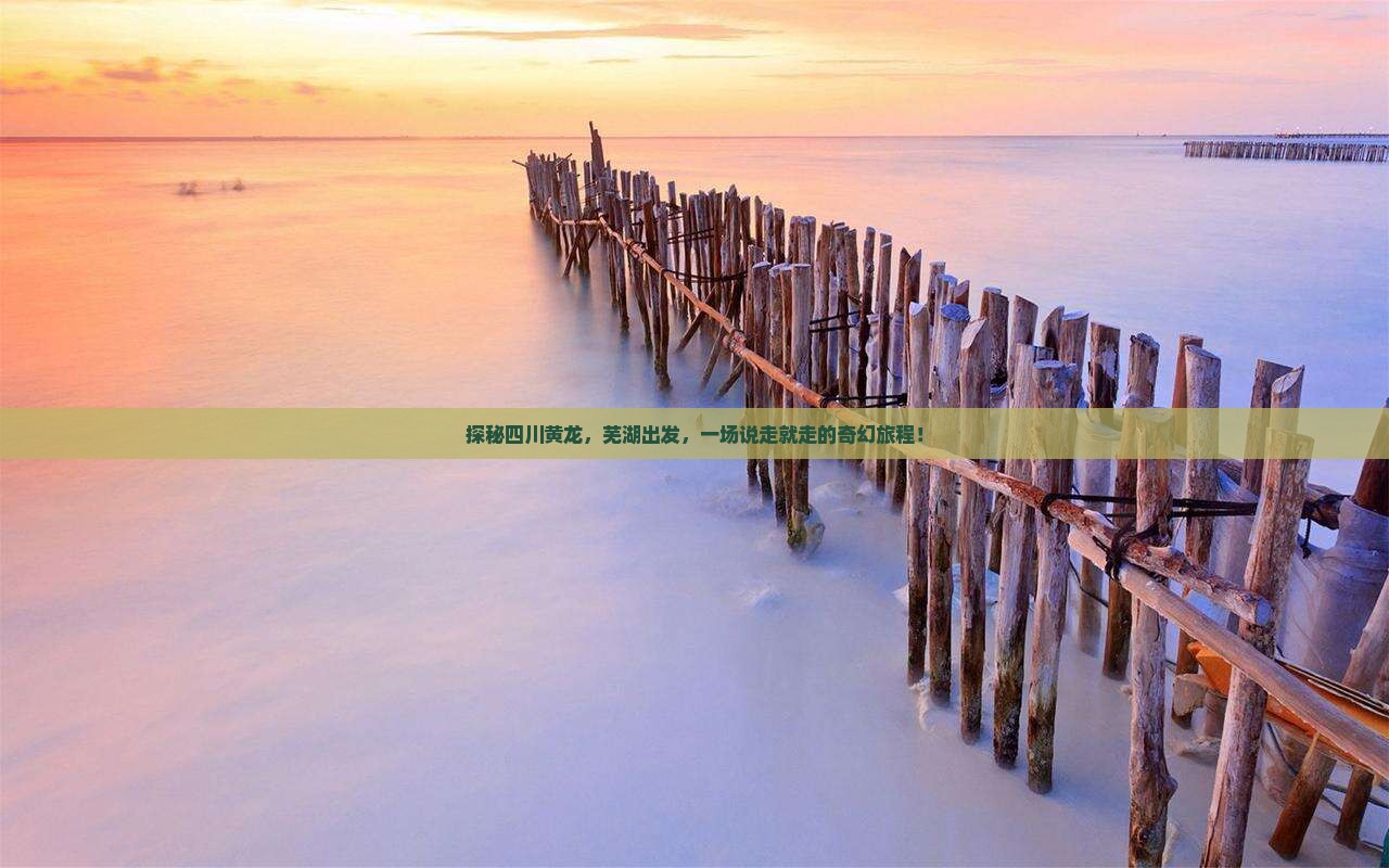 探秘四川黄龙，芜湖出发，一场说走就走的奇幻旅程！
