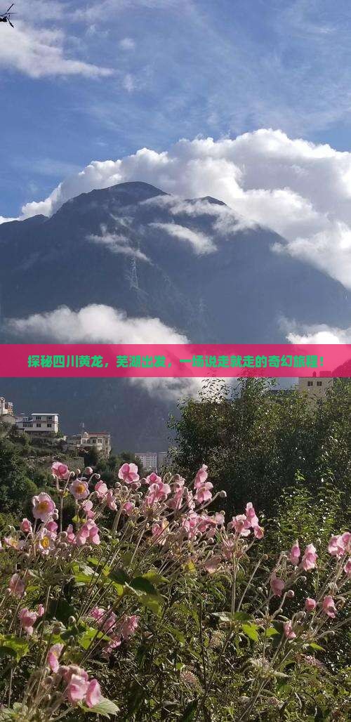 探秘四川黄龙，芜湖出发，一场说走就走的奇幻旅程！