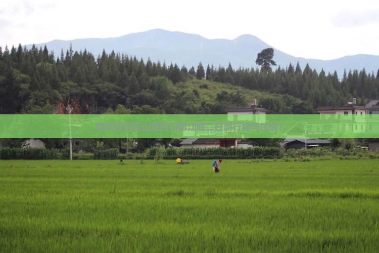 如何规划乐山至四川都江堰二日游行程与住宿？
