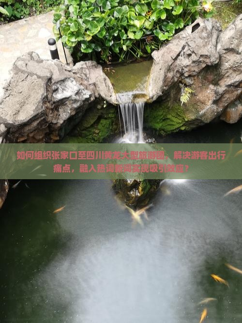 如何组织张家口至四川黄龙大型旅游团，解决游客出行痛点，融入热词新词实现吸引效应？