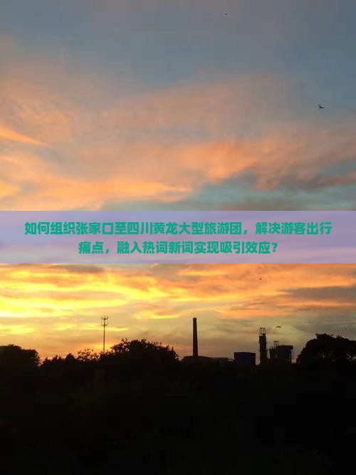 如何组织张家口至四川黄龙大型旅游团，解决游客出行痛点，融入热词新词实现吸引效应？
