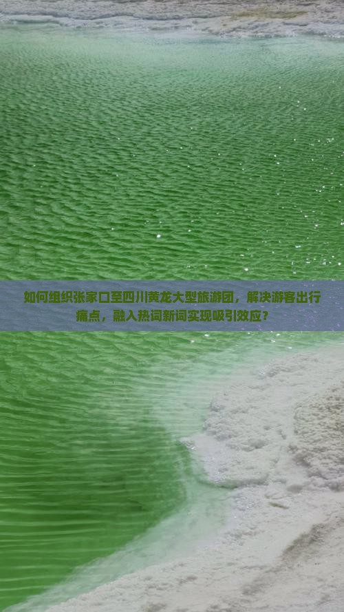 如何组织张家口至四川黄龙大型旅游团，解决游客出行痛点，融入热词新词实现吸引效应？
