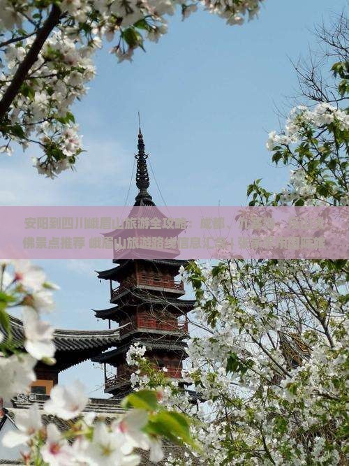 安阳到四川峨眉山旅游全攻略：成都、九寨沟、乐山大佛景点推荐+峨眉山旅游路线信息汇总 | 张家界市国际旅行社