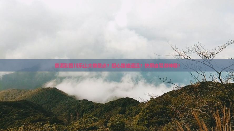 普洱到四川乐山大佛景点？担心路途遥远？快用自驾游神器！