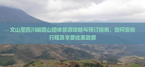 文山至四川峨眉山团体旅游攻略与预订指南，如何安排行程及享受优惠政部