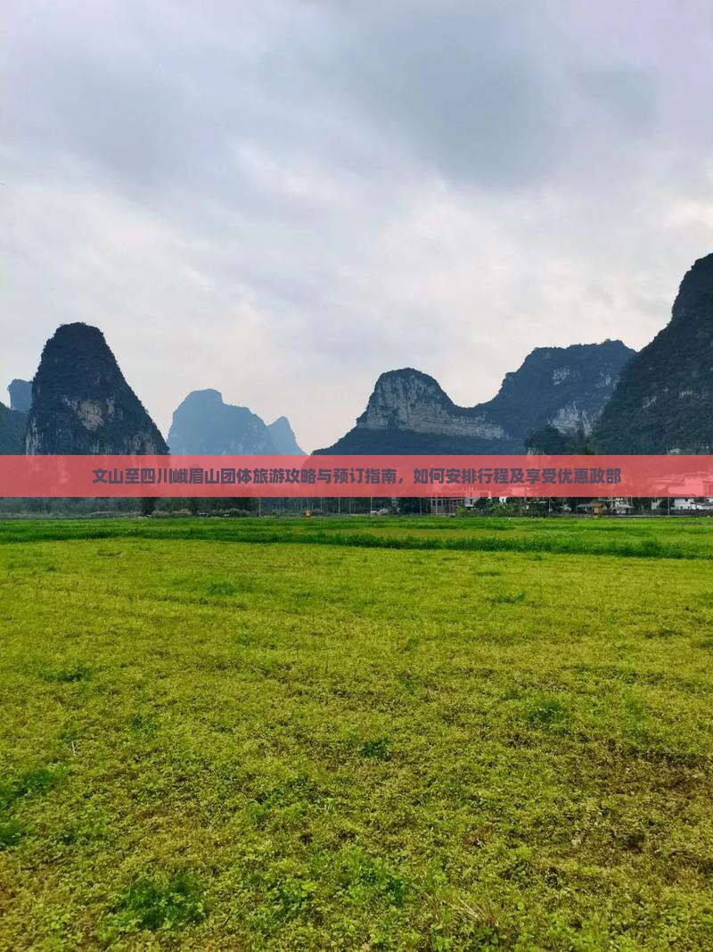 文山至四川峨眉山团体旅游攻略与预订指南，如何安排行程及享受优惠政部