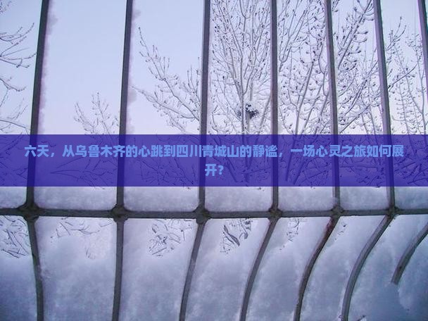 六天，从乌鲁木齐的心跳到四川青城山的静谧，一场心灵之旅如何展开？