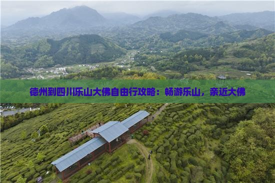 德州到四川乐山大佛自由行攻略：畅游乐山，亲近大佛