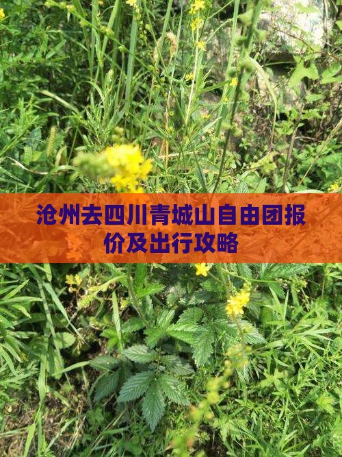沧州去四川青城山自由团报价及出行攻略