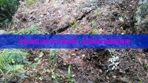 东莞去四川乐山大佛攻略：自驾路线及里程指南