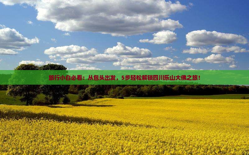 旅行小白必看：从包头出发，5步轻松解锁四川乐山大佛之旅！