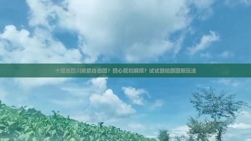十堰去四川成都自由团？担心规划麻烦？试试旅拍跟团新玩法