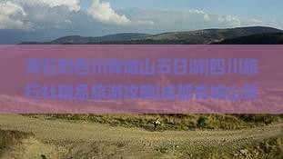 黄石到四川青城山五日游|四川旅行社精品旅游攻略|成都青城山景点推荐|青城旅行