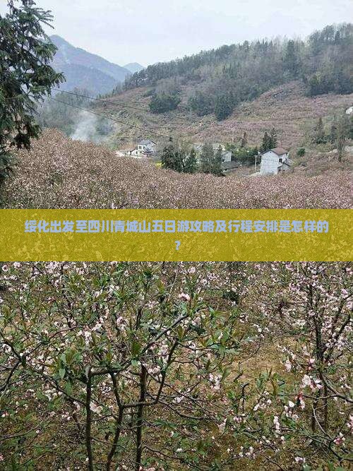 绥化出发至四川青城山五日游攻略及行程安排是怎样的？