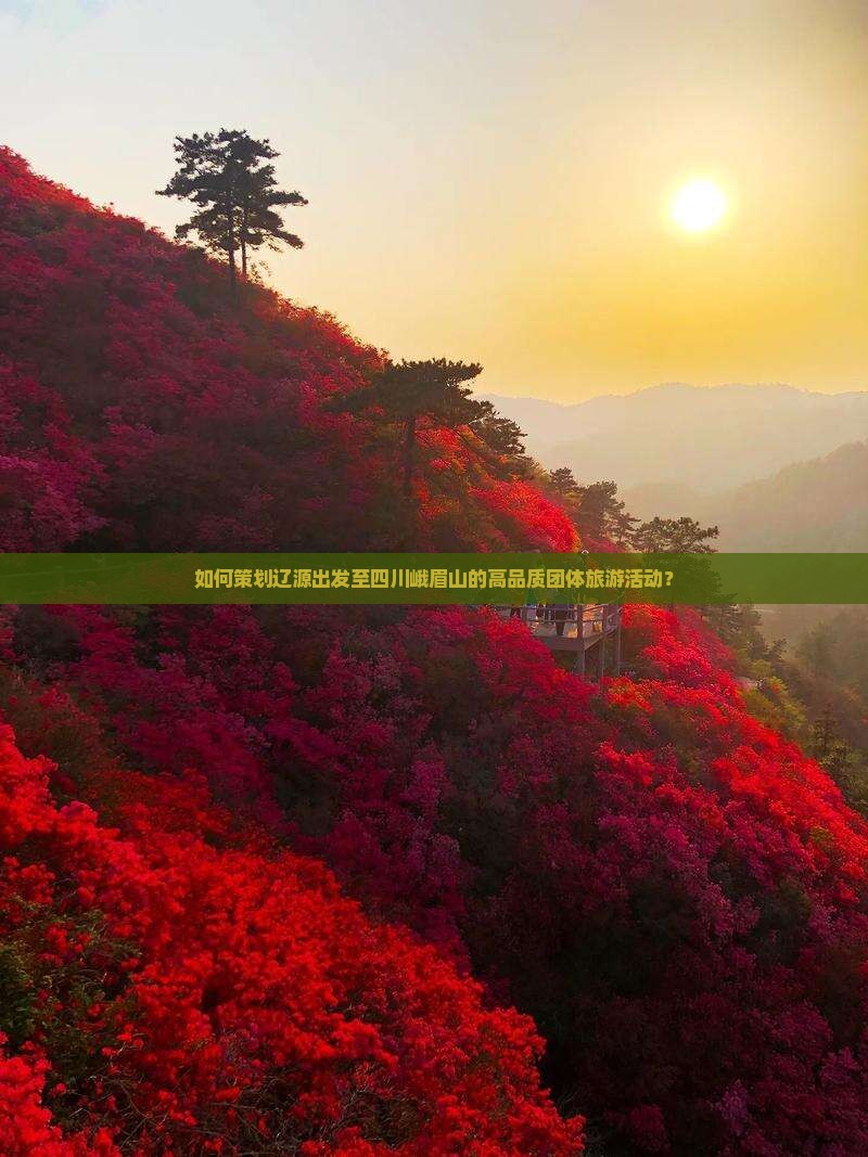 如何策划辽源出发至四川峨眉山的高品质团体旅游活动？