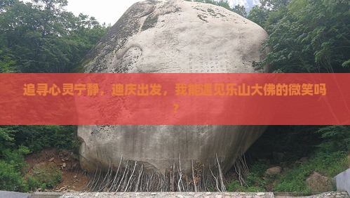 追寻心灵宁静，迪庆出发，我能遇见乐山大佛的微笑吗？