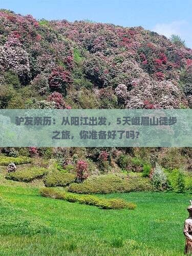 驴友亲历：从阳江出发，5天峨眉山徒步之旅，你准备好了吗？