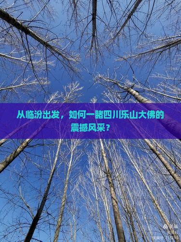 从临汾出发，如何一睹四川乐山大佛的震撼风采？