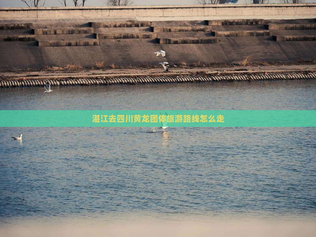 湛江去四川黄龙团体旅游路线怎么走