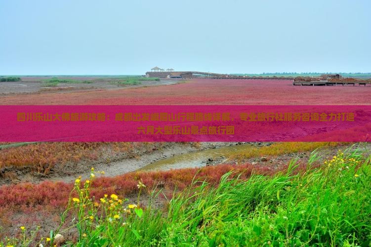四川乐山大佛旅游攻略：成都出发峨眉山行程路线详解，专业旅行社服务咨询全力打造六月大型乐山景点旅行团