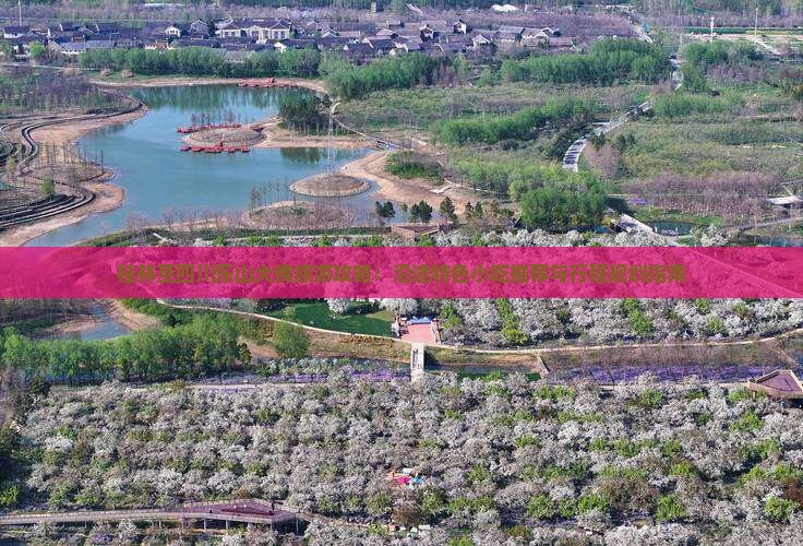 桂林至四川乐山大佛旅游攻略：沿途特色小吃推荐与行程规划指南