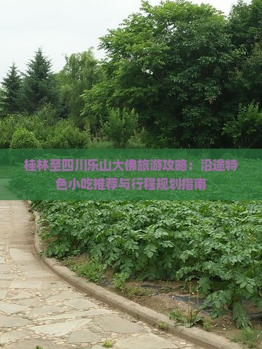桂林至四川乐山大佛旅游攻略：沿途特色小吃推荐与行程规划指南