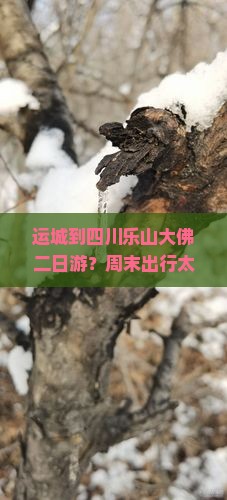 运城到四川乐山大佛二日游？周末出行太麻烦？高铁+网红打卡地等你来！