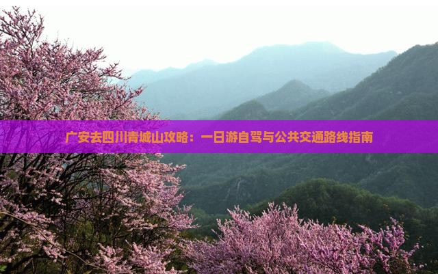 广安去四川青城山攻略：一日游自驾与公共交通路线指南