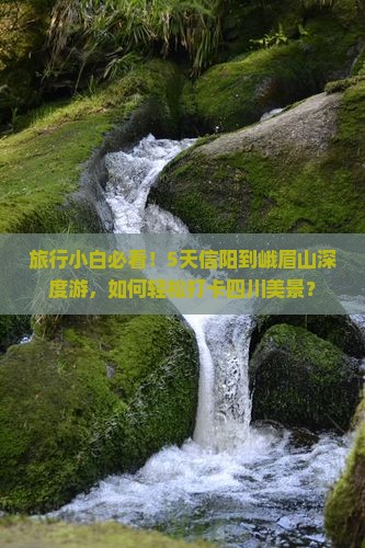 旅行小白必看！5天信阳到峨眉山深度游，如何轻松打卡四川美景？