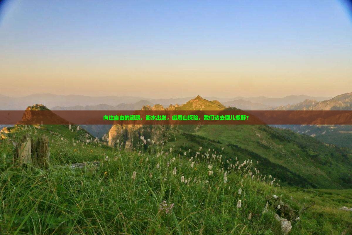 向往自由的翅膀，衡水出发，峨眉山探险，我们该去哪儿撒野？