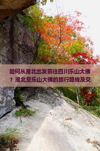 如何从淮北出发前往四川乐山大佛？淮北至乐山大佛的旅行路线及交通方式是什么？