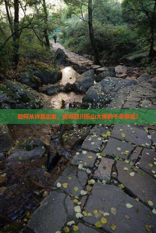 如何从许昌出发，追寻四川乐山大佛的千年静谧？