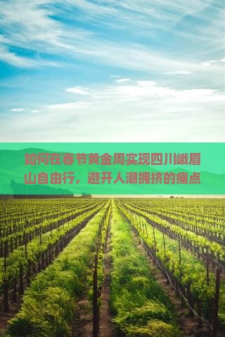 如何在春节黄金周实现四川峨眉山自由行，避开人潮拥挤的痛点？