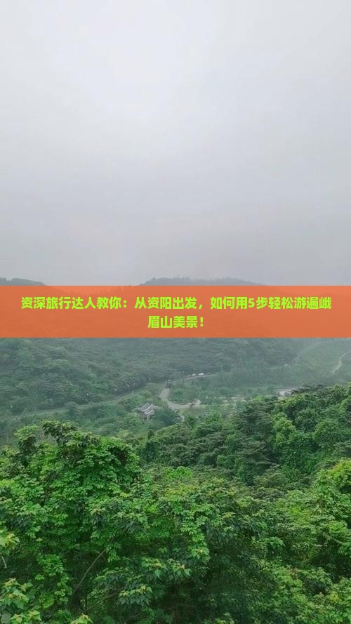 资深旅行达人教你：从资阳出发，如何用5步轻松游遍峨眉山美景！